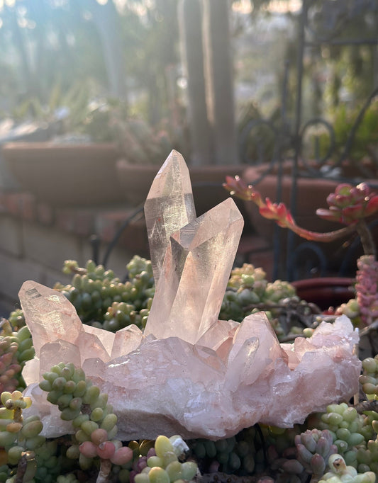 Amazing Pink Himalayan Quartz High-Quality Crystal from India