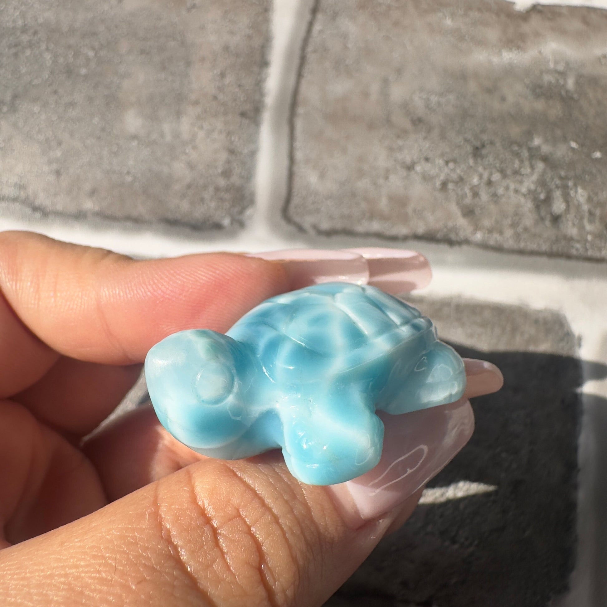 Stunning Larimar Turtle Carving High-Quality Grade AAA+ From The Dominican Republic Carved In China | Tucson Gem Show Exclusive