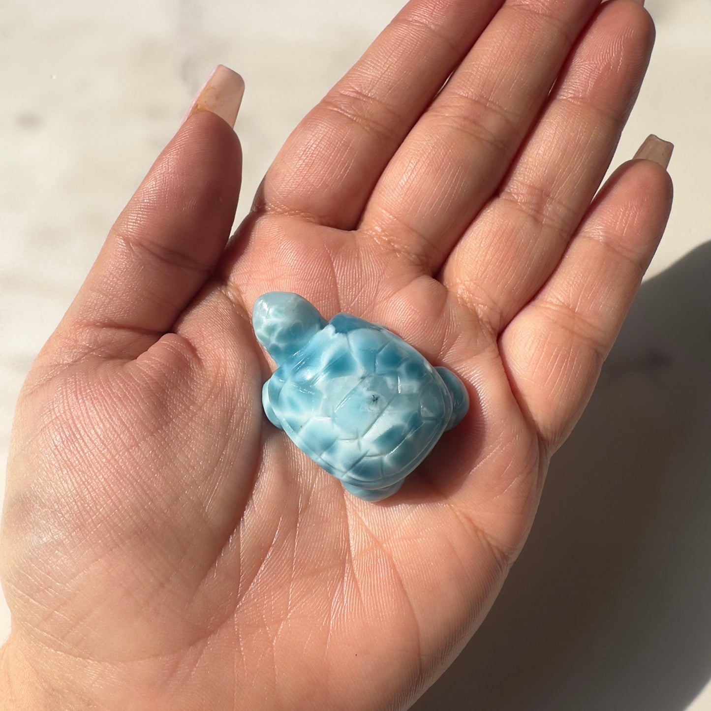 Stunning Larimar Turtle Carving High-Quality Grade AAA+ From The Dominican Republic Carved In China | Tucson Gem Show Exclusive