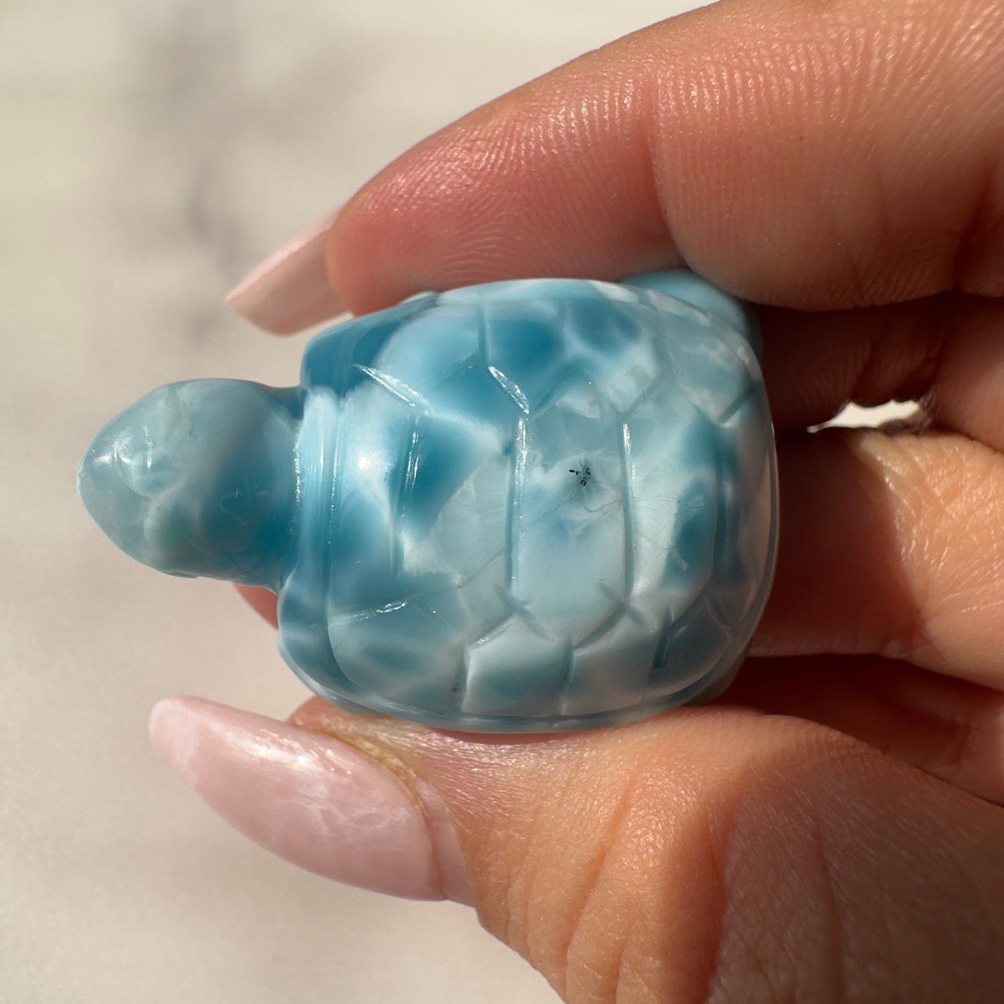 Stunning Larimar Turtle Carving High-Quality Grade AAA+ From The Dominican Republic Carved In China | Tucson Gem Show Exclusive