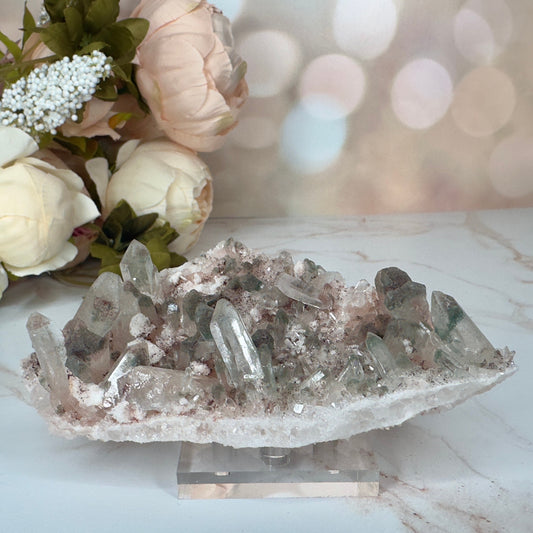 Beautiful Pink Himalayan Samadhi Quartz With Chlorite High-Quality Genuine Specimen Crystal from India | Tucson Gem Show Exclusive