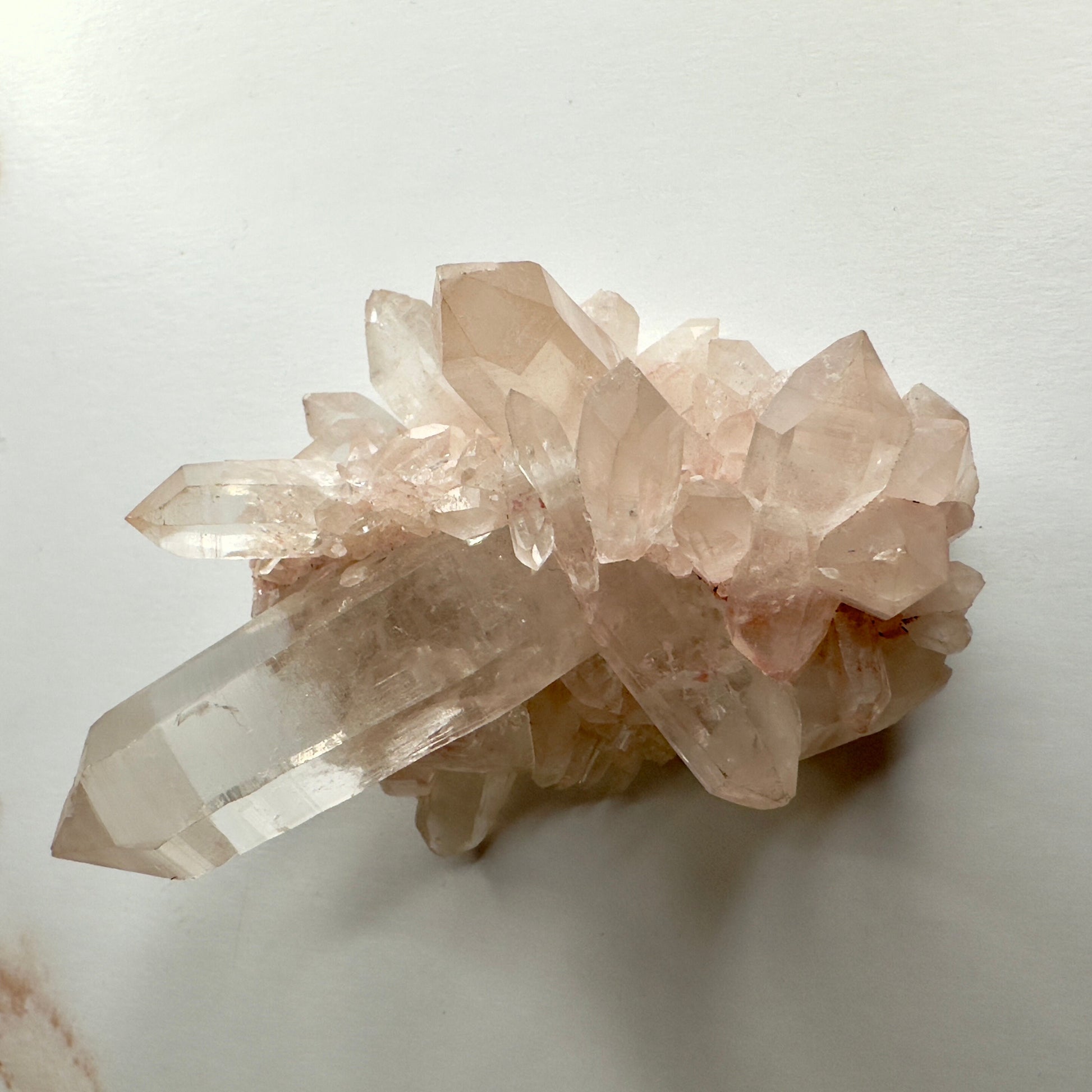 Beautiful Pink Himalayan Samadhi Quartz High-Quality Genuine Specimen Crystal Cluster from India | Tucson Gem Show Exclusive