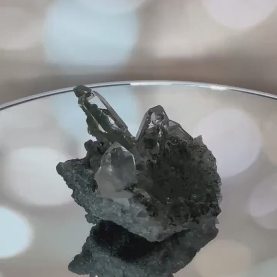 Chlorite Himalayan Specimen Cluster With Rutile Inclusions From India AAA+ grade | Tucson Gem Show Exclusive